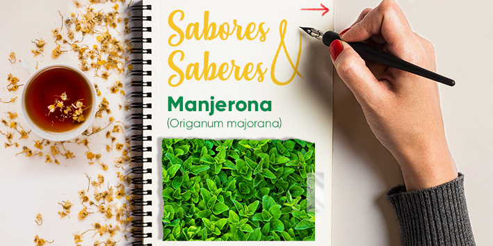 Sabores e saberes - Manjerona 1